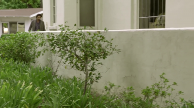 Adrien_Brody_in__The_Library_Book____Jameson_First_Shot_2015_mp45B2020-06-26_15-29-18_6655D.jpg