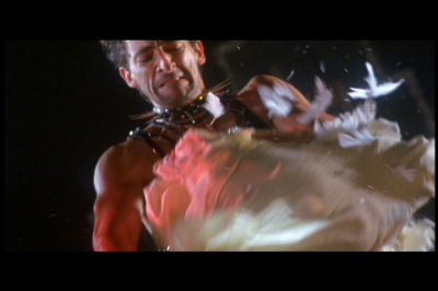 DVDVolume_2820529.png
