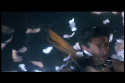 DVDVolume_2821529.png