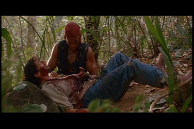 DVD_VIDEO_2819129.png