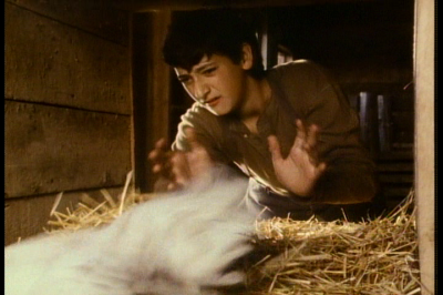 HOME_AT_LAST_289229.png