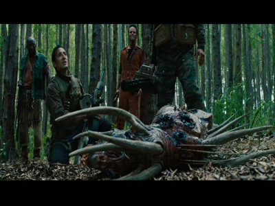 PREDATORS5B2020-07-14_17-47-54_1745D.jpg