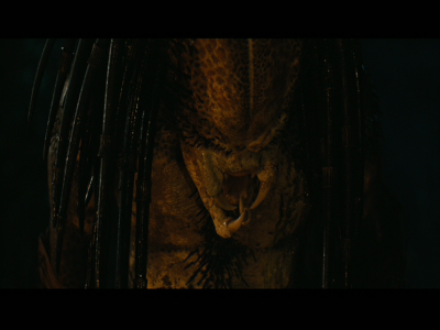 PREDATORS5B2020-07-14_18-44-22_9185D.jpg