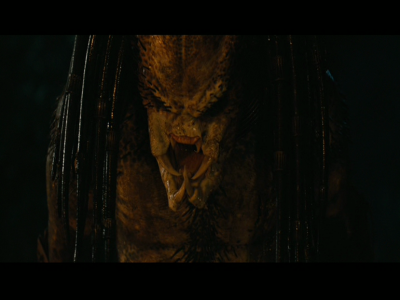 PREDATORS5B2020-07-14_18-44-24_3475D.jpg