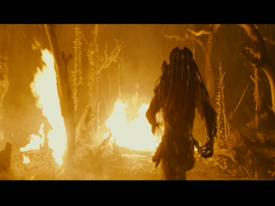 PREDATORS5B2020-07-14_19-20-12_9585D.jpg