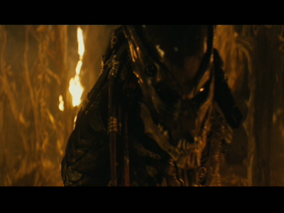 PREDATORS5B2020-07-14_19-20-27_4045D.jpg