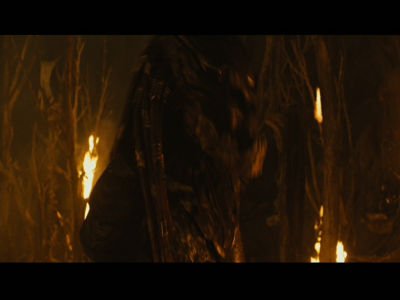 PREDATORS5B2020-07-14_19-20-42_6605D.jpg