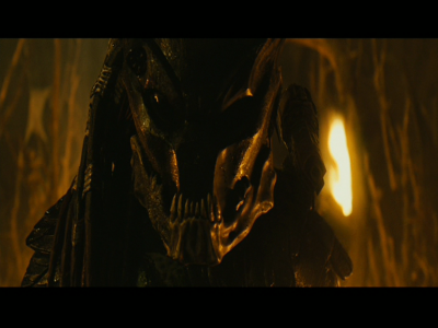 PREDATORS5B2020-07-14_19-21-17_4685D.jpg