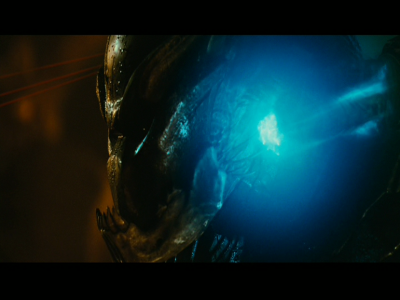 PREDATORS5B2020-07-14_19-21-20_3165D.jpg