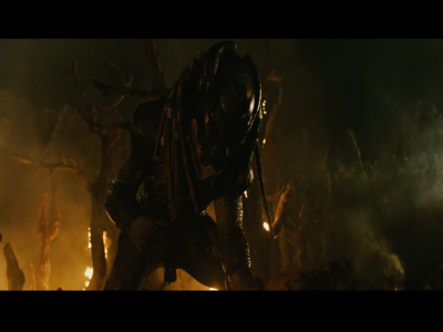PREDATORS5B2020-07-14_19-22-31_9385D.jpg