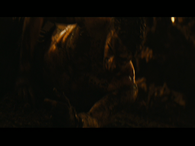 PREDATORS5B2020-07-14_19-22-49_3385D.jpg