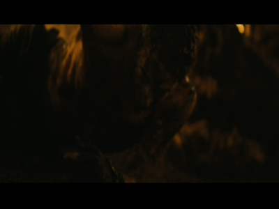 PREDATORS5B2020-07-14_19-22-49_8555D.jpg
