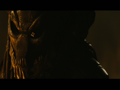 PREDATORS5B2020-07-14_19-22-52_5135D.jpg