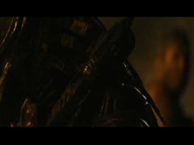 PREDATORS5B2020-07-14_19-22-54_6365D.jpg