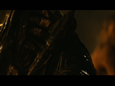 PREDATORS5B2020-07-14_19-22-54_8775D.jpg