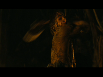 PREDATORS5B2020-07-14_19-22-55_3675D.jpg