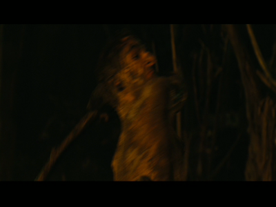 PREDATORS5B2020-07-14_19-22-55_5605D.jpg