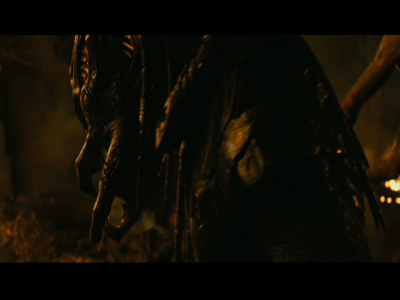 PREDATORS5B2020-07-14_19-22-59_7785D.jpg