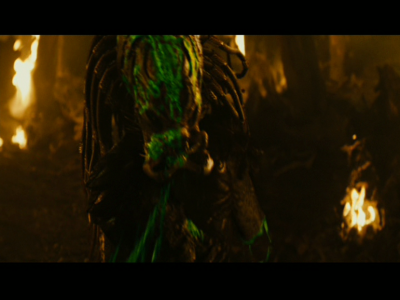PREDATORS5B2020-07-14_19-23-33_9675D.jpg