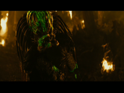 PREDATORS5B2020-07-14_19-23-34_1825D.jpg