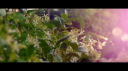 Adrien_Brody_in_2522Boredom2522___Jameson_First_Shot_2015_mp45B2020-06-26_15-17-35_2565D.jpg