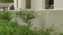 Adrien_Brody_in__The_Library_Book____Jameson_First_Shot_2015_mp45B2020-06-26_15-29-18_6655D.jpg