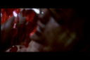 DVDVolume_2835929.png