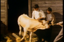 HOME_AT_LAST_2816829.png