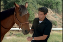 JAILBKRS_2811029.png