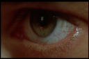 Oxygen_rev04_2833529.png