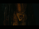 PREDATORS5B2020-07-14_18-44-22_9185D.jpg