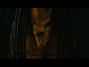 PREDATORS5B2020-07-14_18-44-24_3475D.jpg