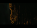 PREDATORS5B2020-07-14_18-44-33_7415D.jpg