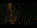 PREDATORS5B2020-07-14_18-44-34_0175D.jpg