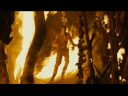PREDATORS5B2020-07-14_19-20-24_7225D.jpg
