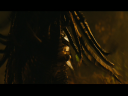 PREDATORS5B2020-07-14_19-23-04_2785D.jpg